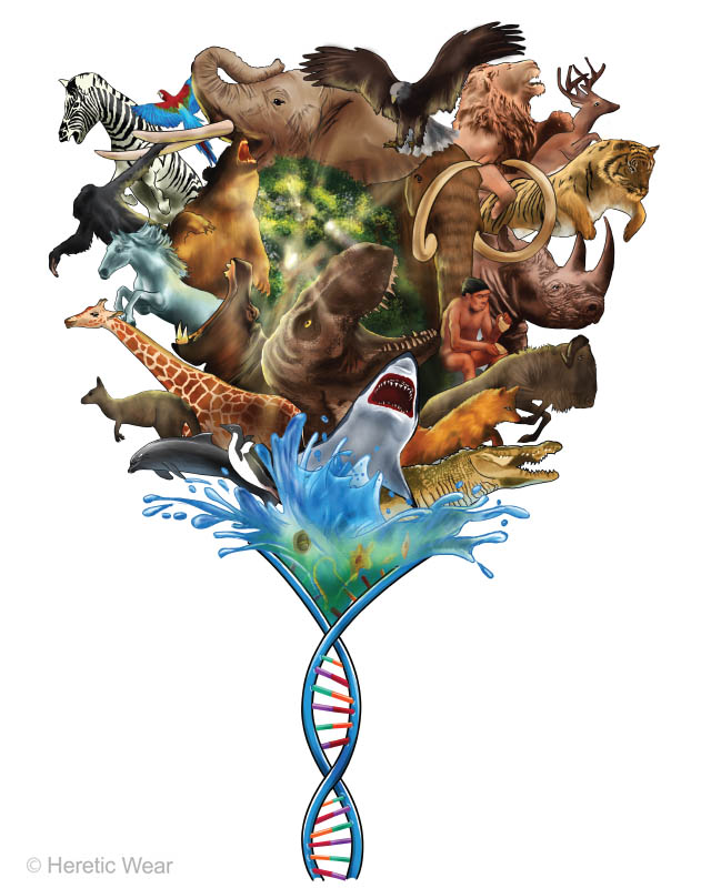 Spiral of Life