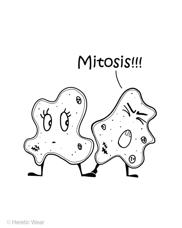 Mitosis - Image 2