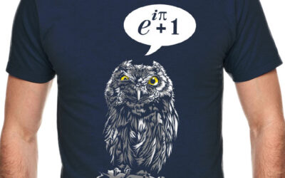 Don’t give a hoot – Maths T Shirt From – Heretic Wear